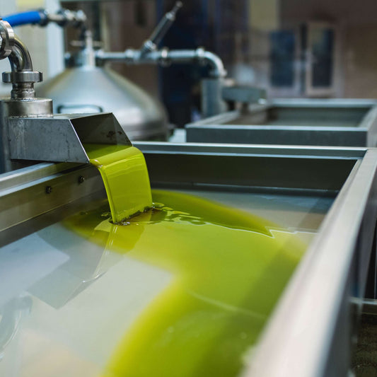 The Journey of an Olive: From Grove to Bottle