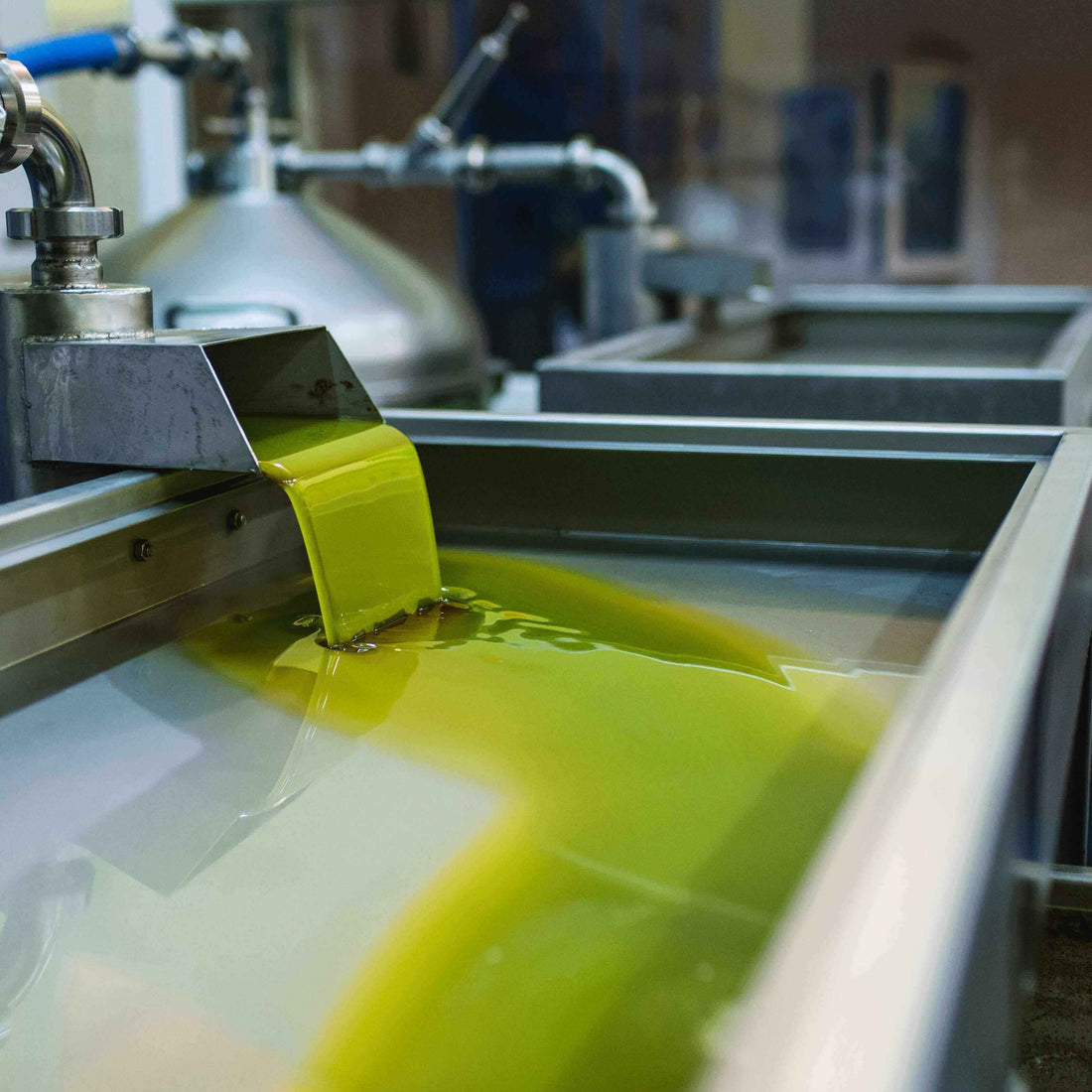 The Journey of an Olive: From Grove to Bottle - Oil Fans